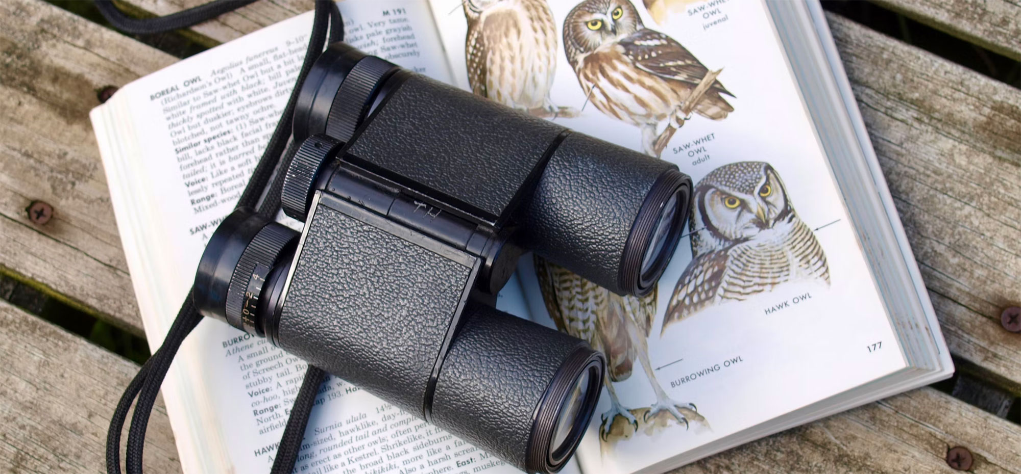 Ghana Birdwatching | Birding Day Trips | Blastours Birding Tours