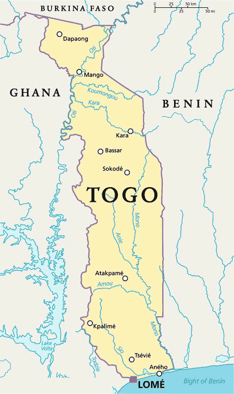 Togo Mug — Map My State